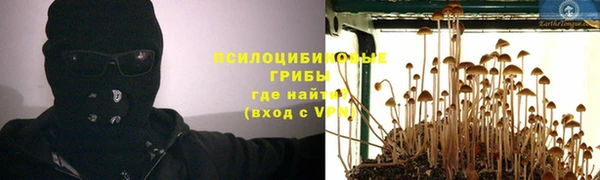 ALPHA PVP Ростов