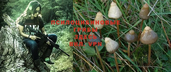 ALPHA PVP Ростов