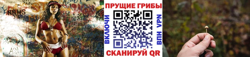 Галлюциногенные грибы прущие грибы  Белинский 